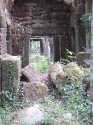 DSC00868.jpg
